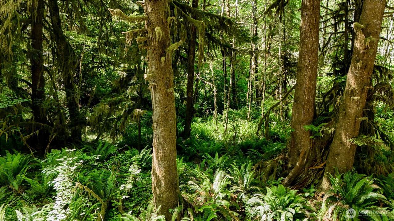 99994 Dowans Creek Road - Photo 1