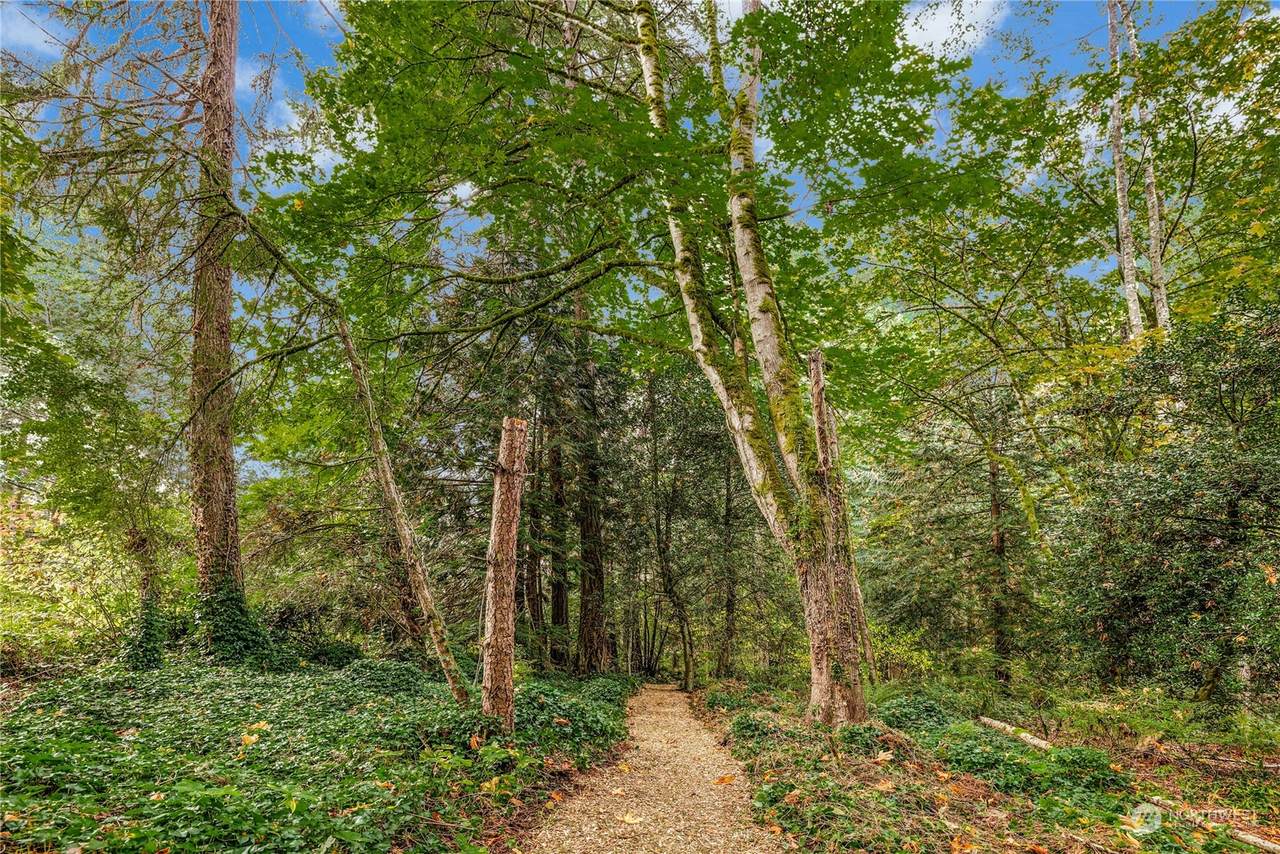 0 Lofgren (Lot B) Road - Photo 1