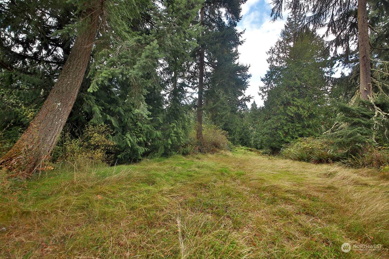 0 Lot E Saratoga Road - Photo 1