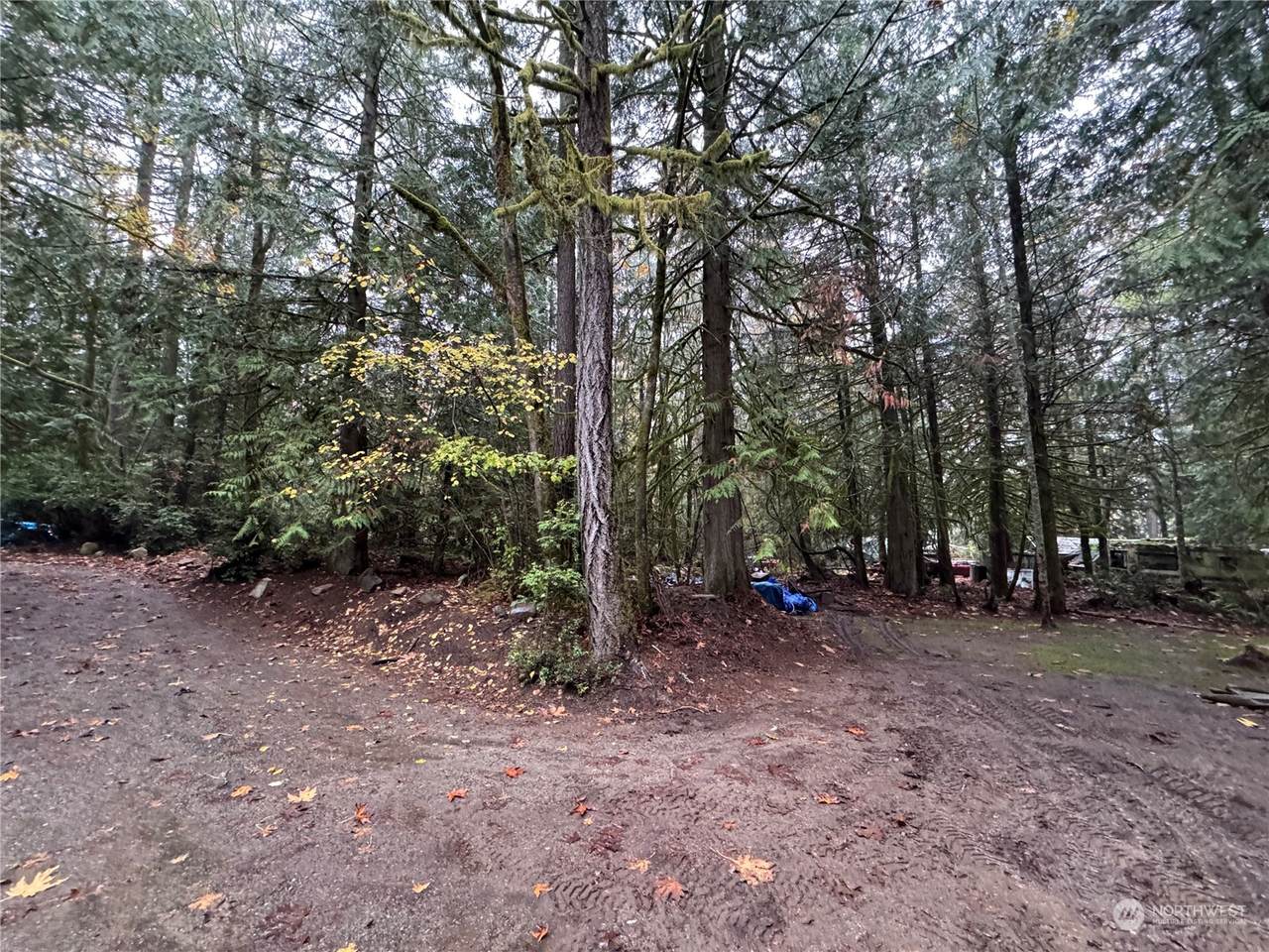 6209 172nd Avenue - Photo 1