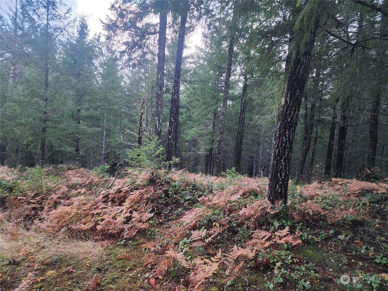 110 Ridge Lane - Photo 1