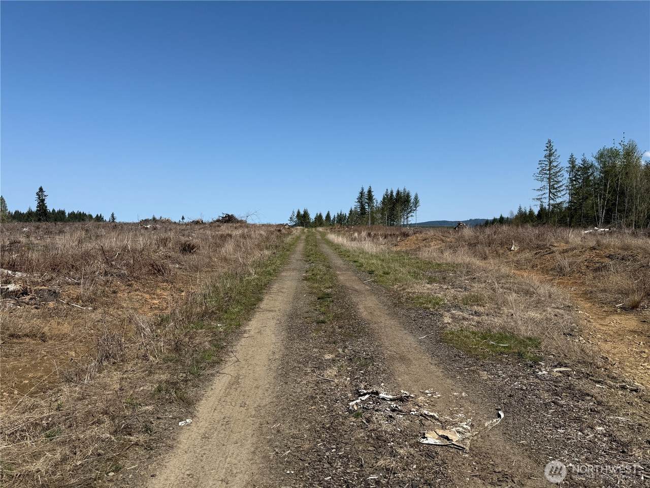 3 XX Centralia Alpha Road - Photo 1