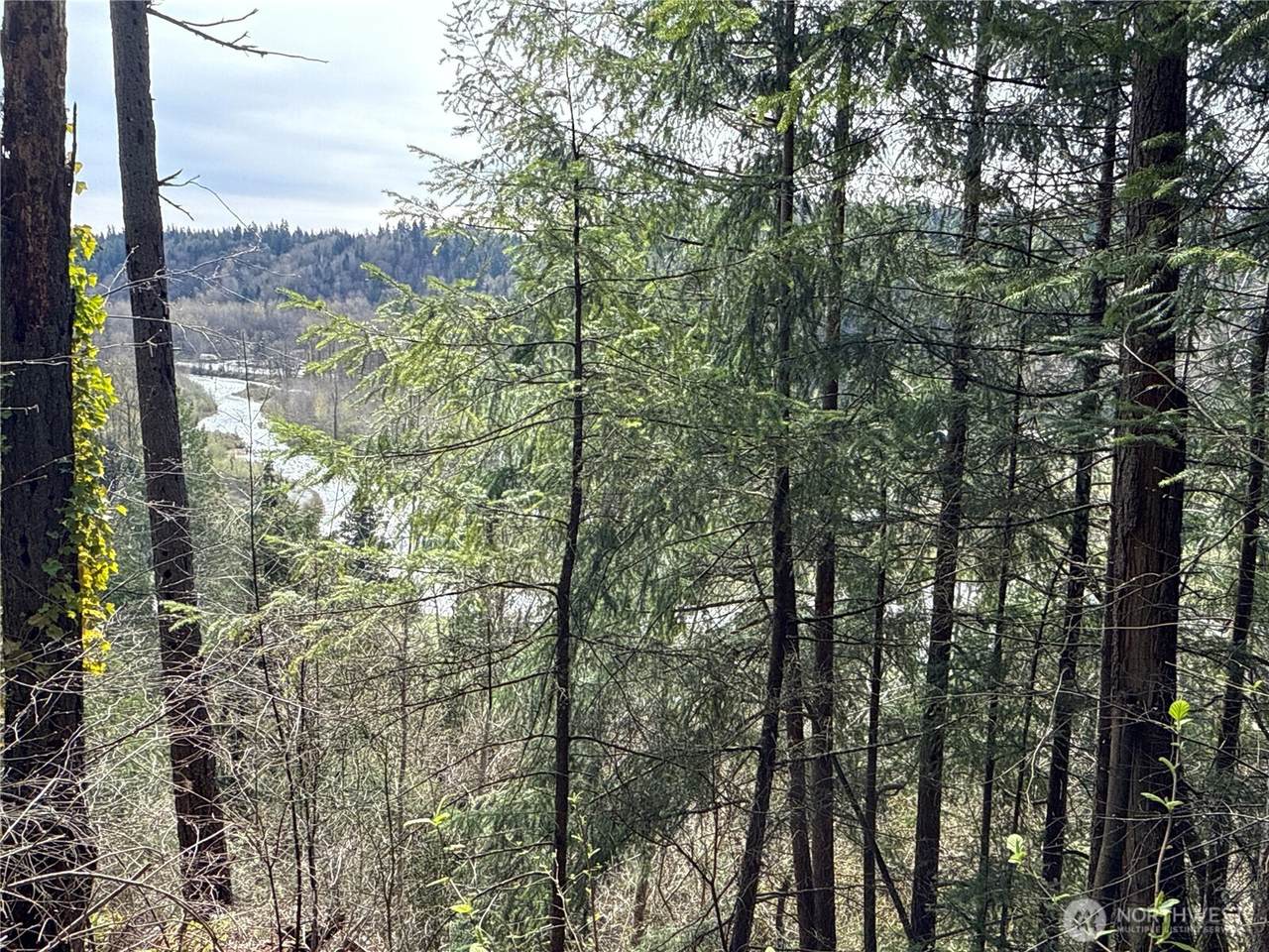 149 XX 175th Avenue - Photo 1