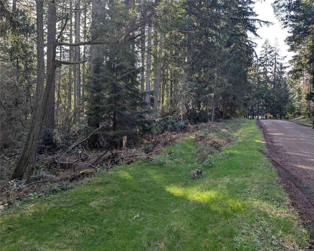 10325 Totem Way - Photo 1