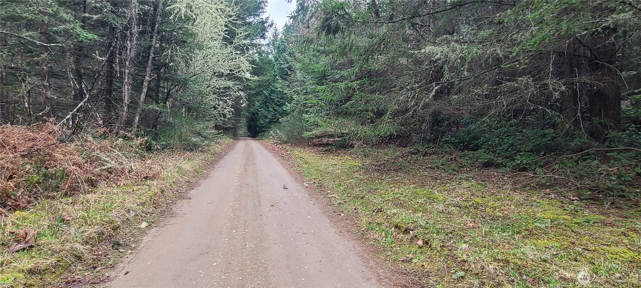 200 Mail Bay Rd - Photo 1