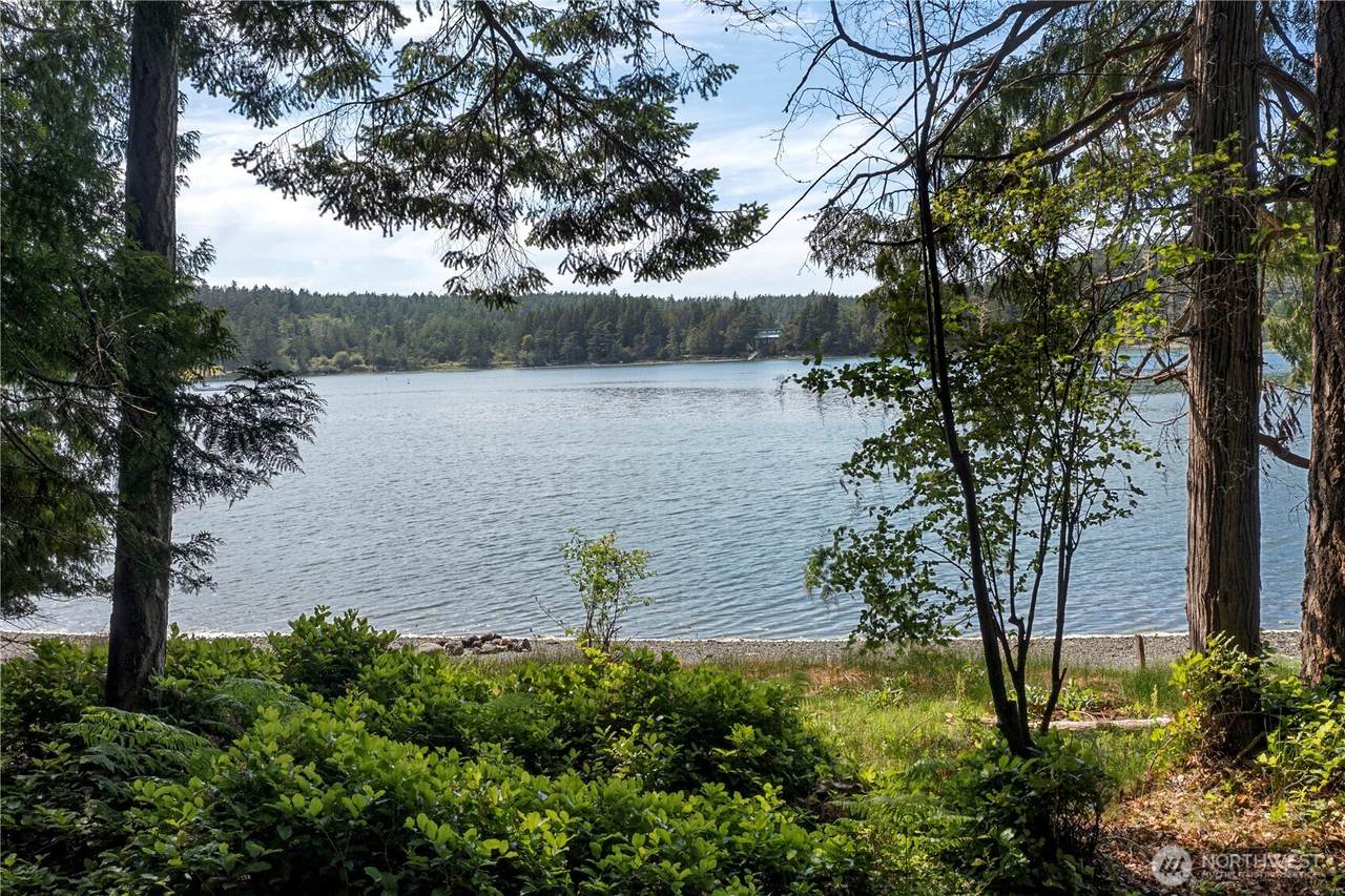 16 Driftwood Drive - Photo 1