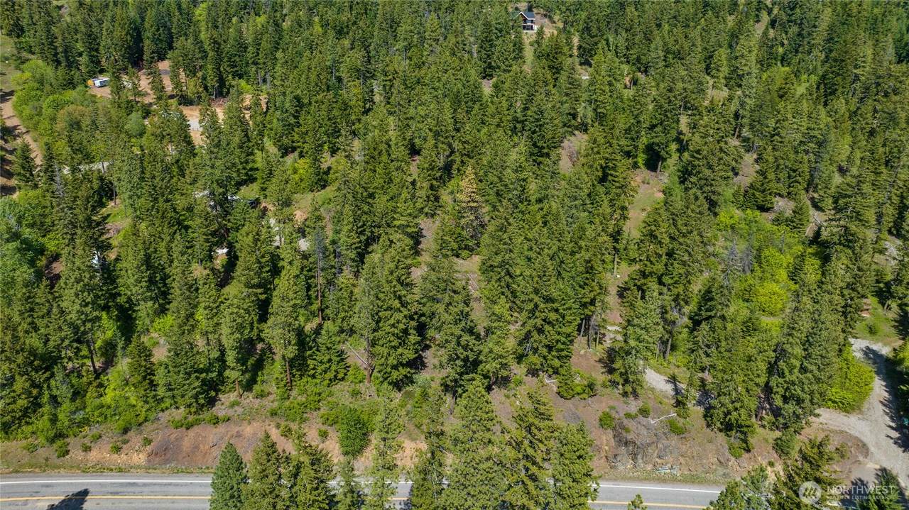 11 Salmon La Sac Highway - Photo 1