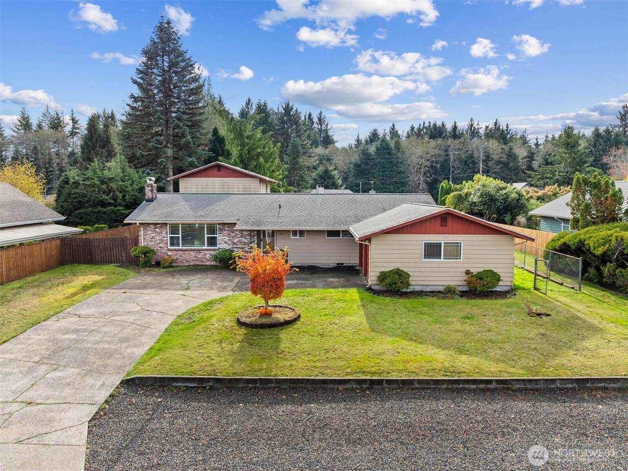 1209 Dundee Drive - Photo 1
