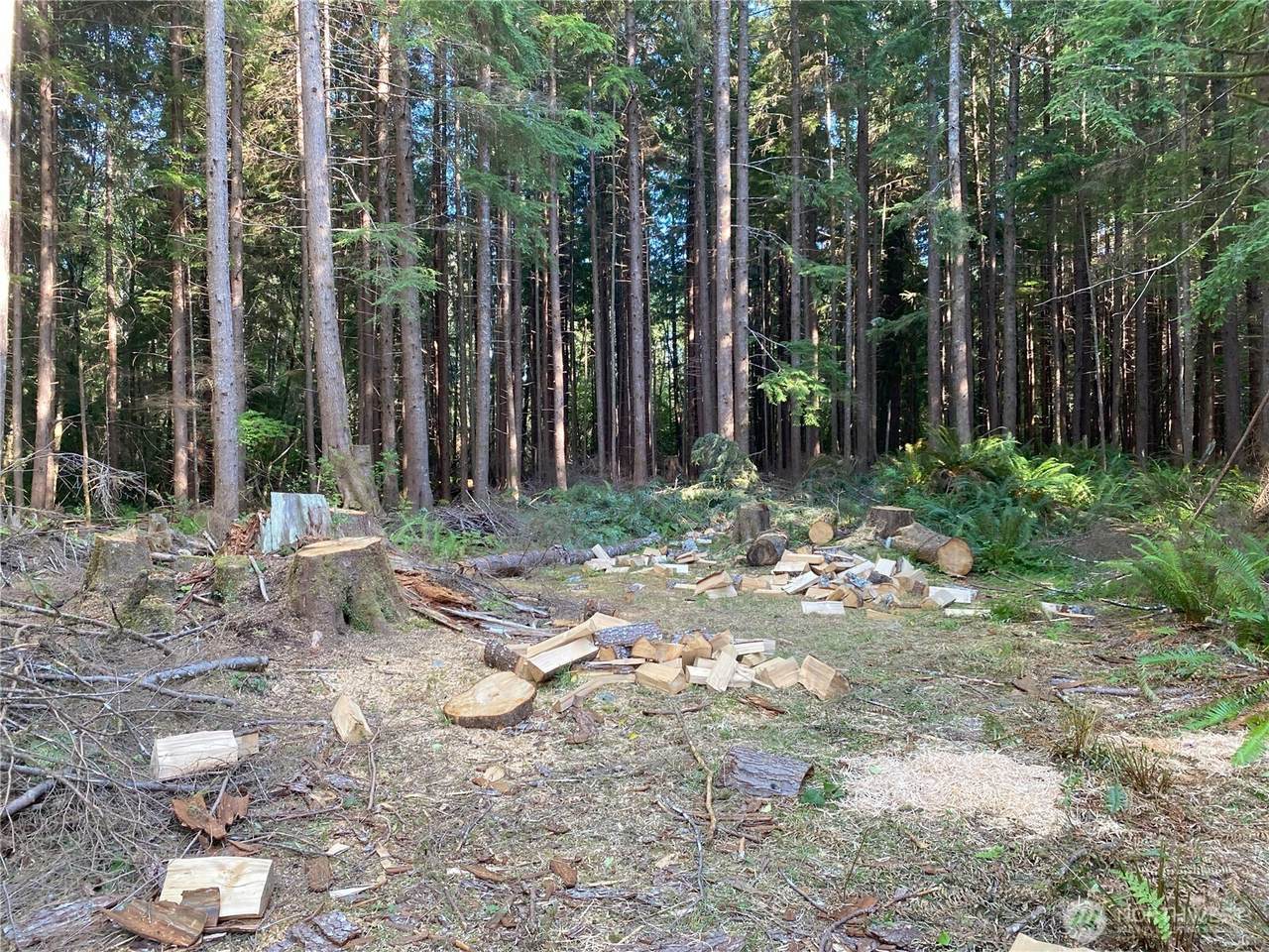 0 Hwy 101 Forks - Photo 1