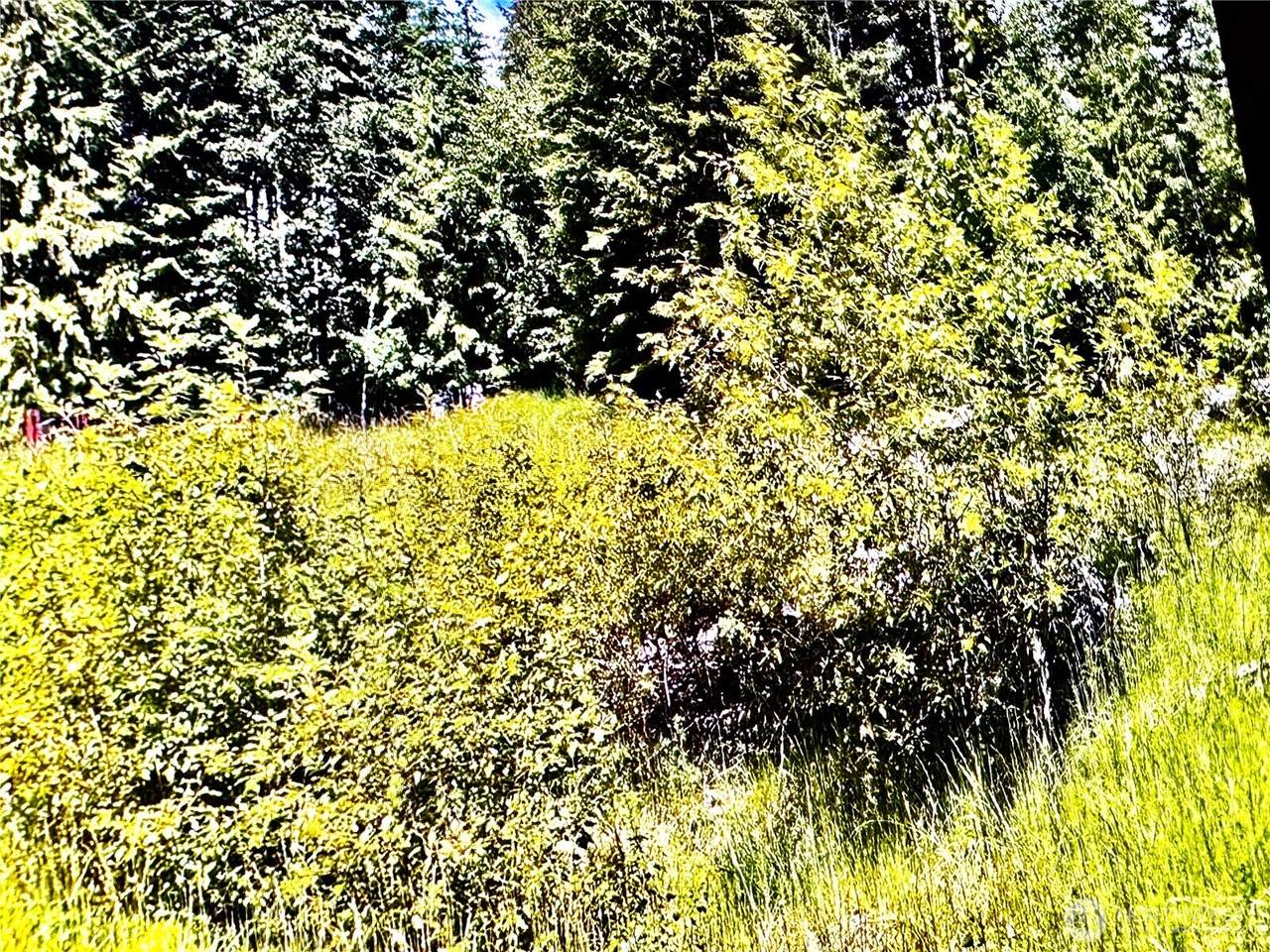 2721 158th Avenue - Photo 1