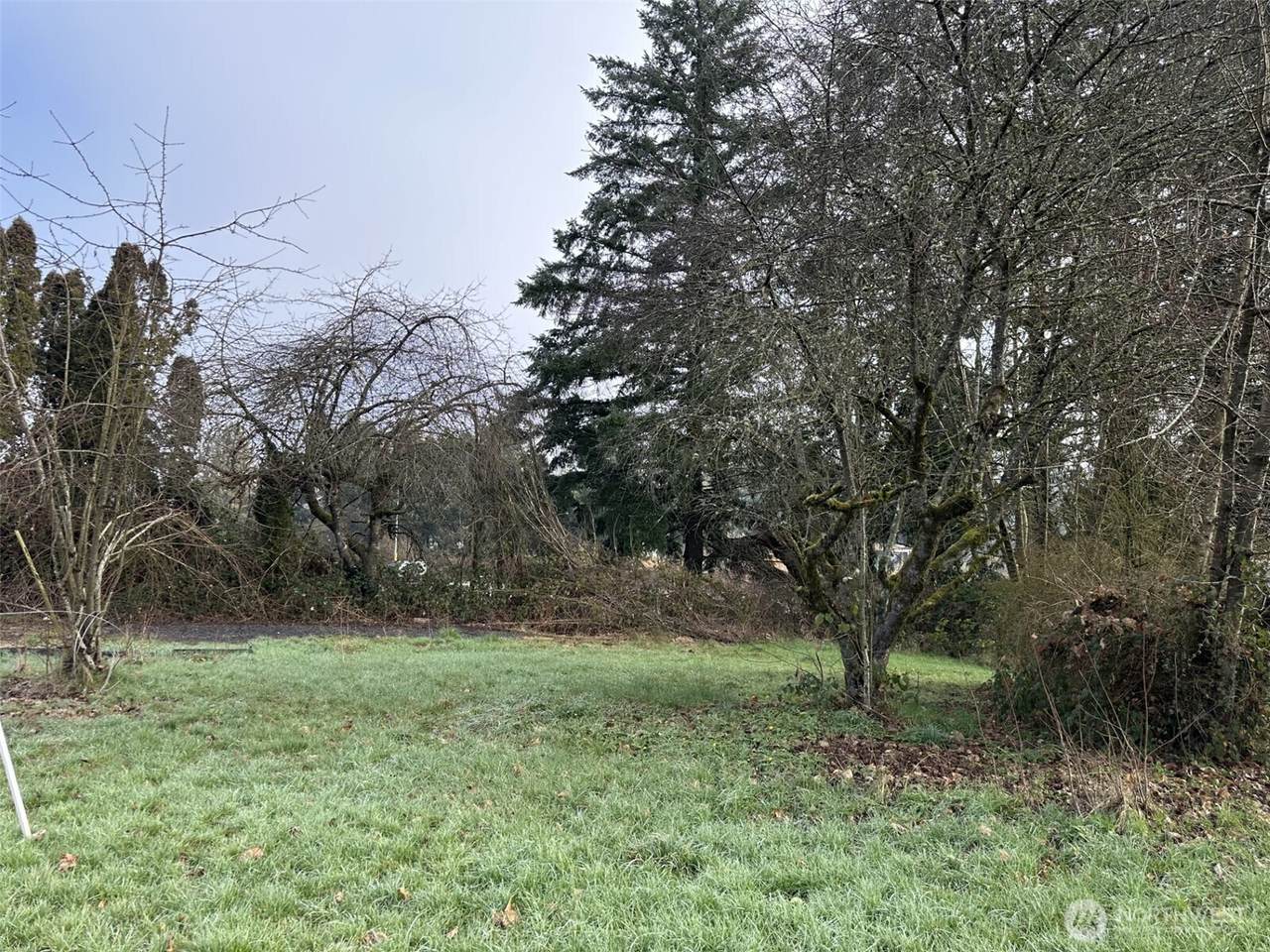 0 Pioneer Avenue - Photo 1