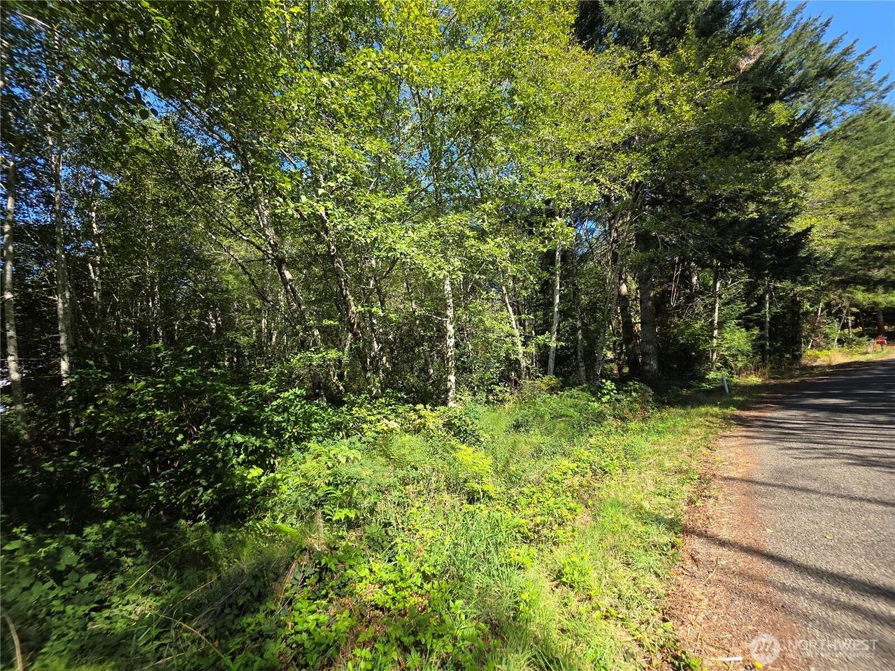 0 Cedar Place - Photo 1