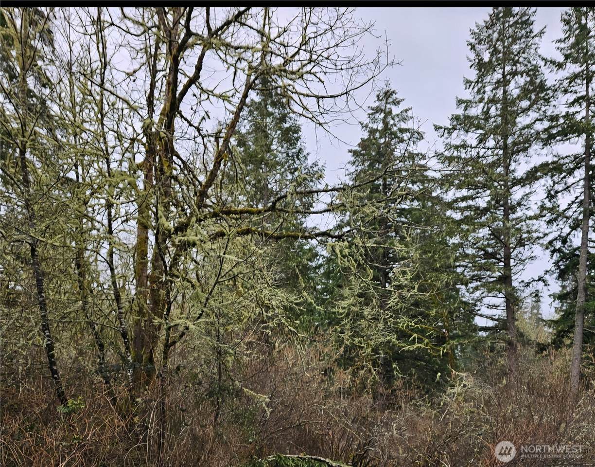 17109 18th Ave Ct - Photo 1