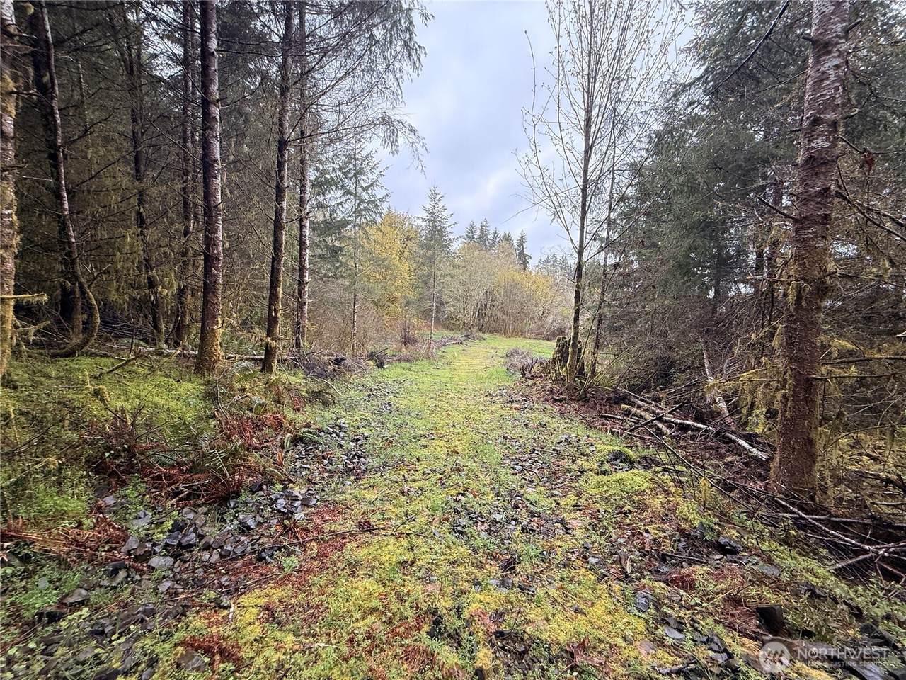 0 Bunker Creek Road - Photo 1