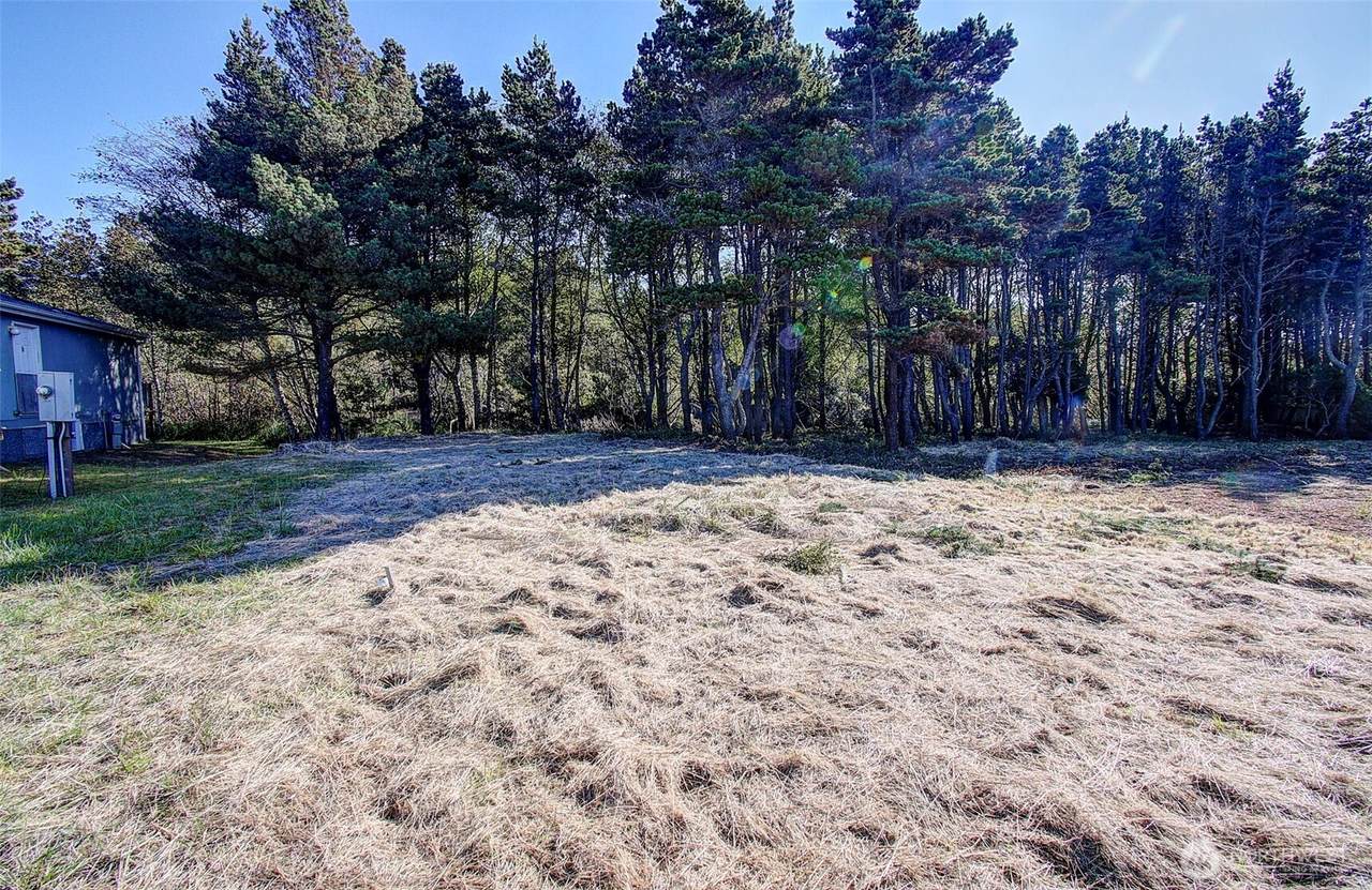 29908 H Street - Photo 1