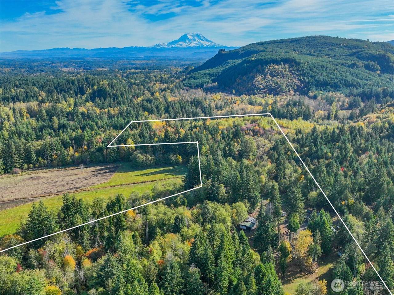 17328 Mulqueen Road - Photo 1