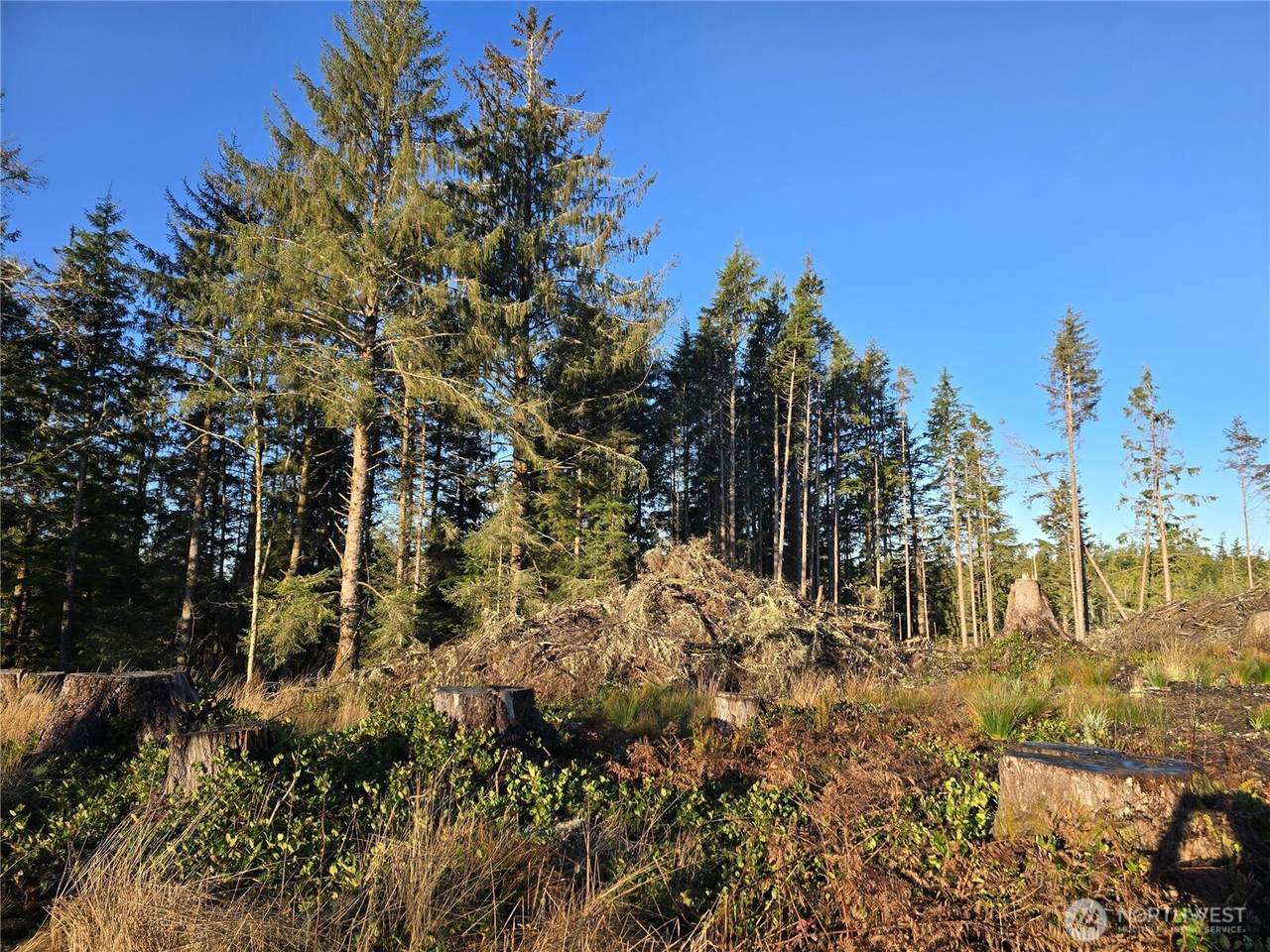 2753 State Route 101 - Photo 1