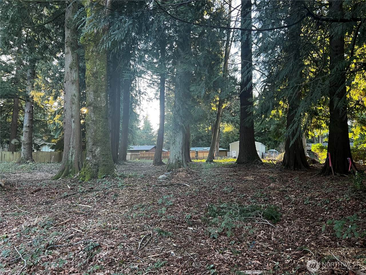 0 XXX Forest View Drive - Photo 1