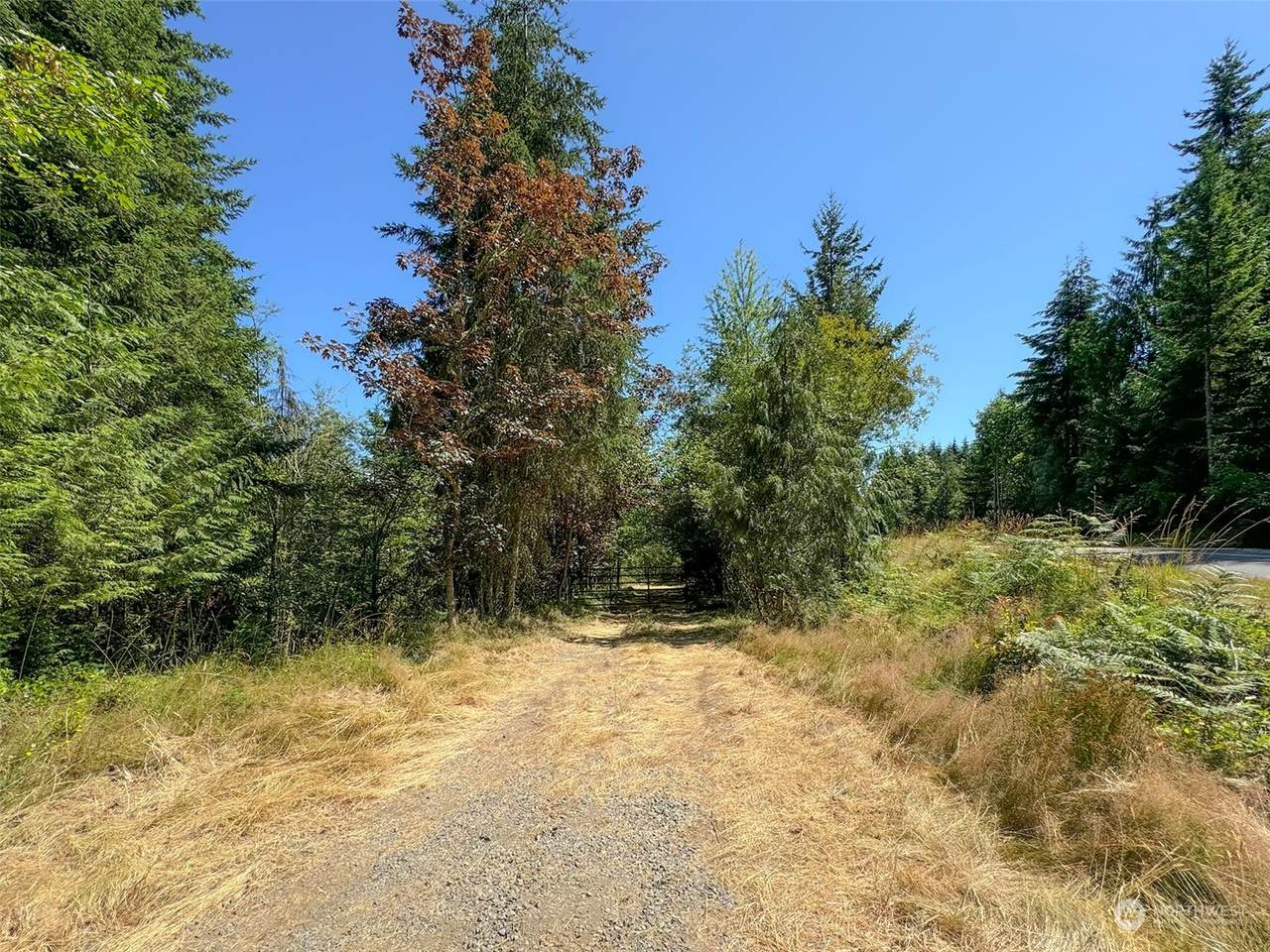 9999 Township Line Road - Photo 1