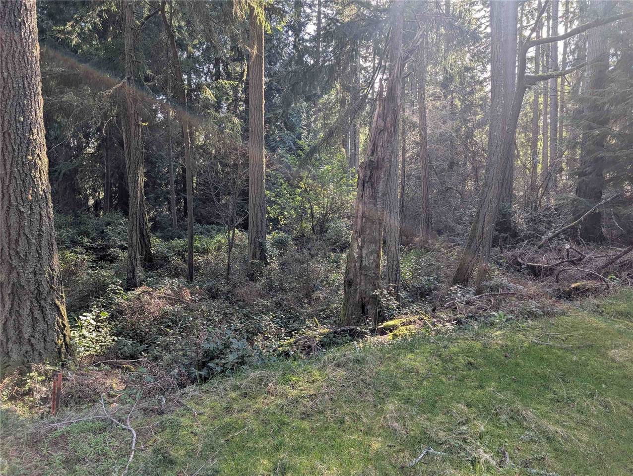10325 Totem Way - Photo 1