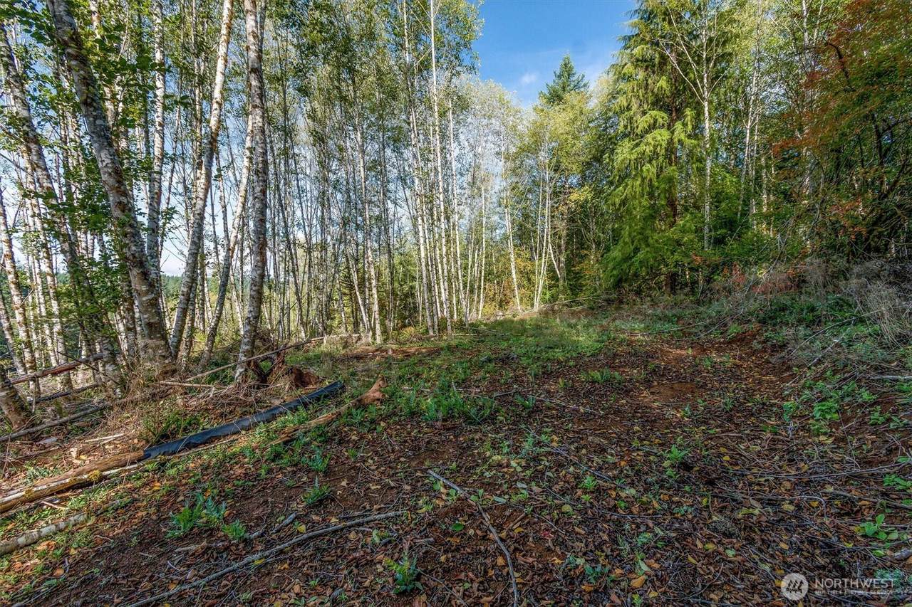 217 Deer Fern Lane - Photo 1