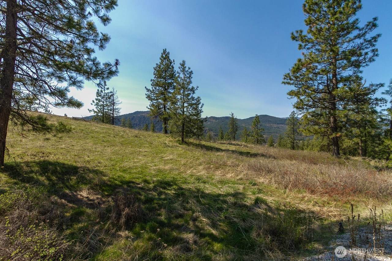 1622 Palmer Loop - Photo 1