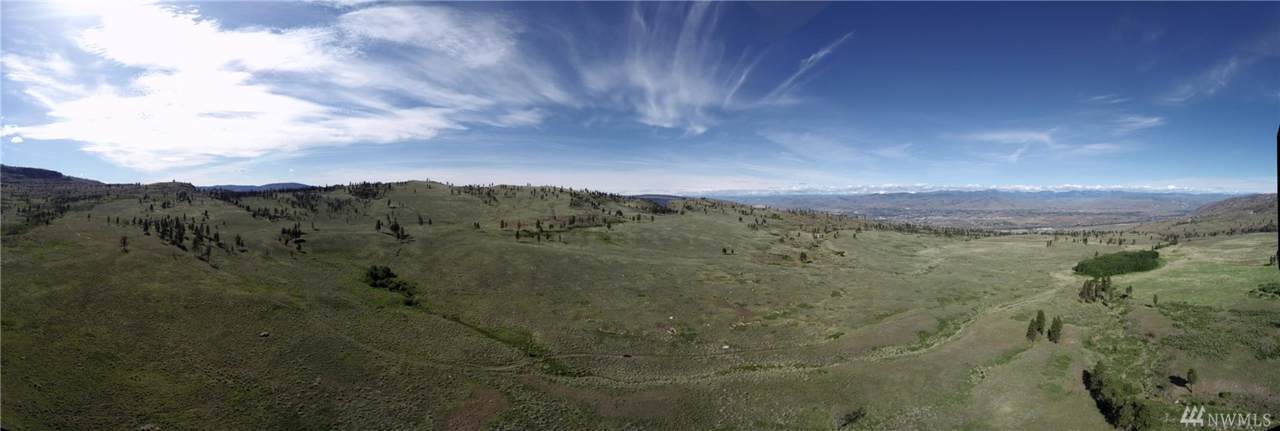 0 Omak Mountain Rd - Photo 1