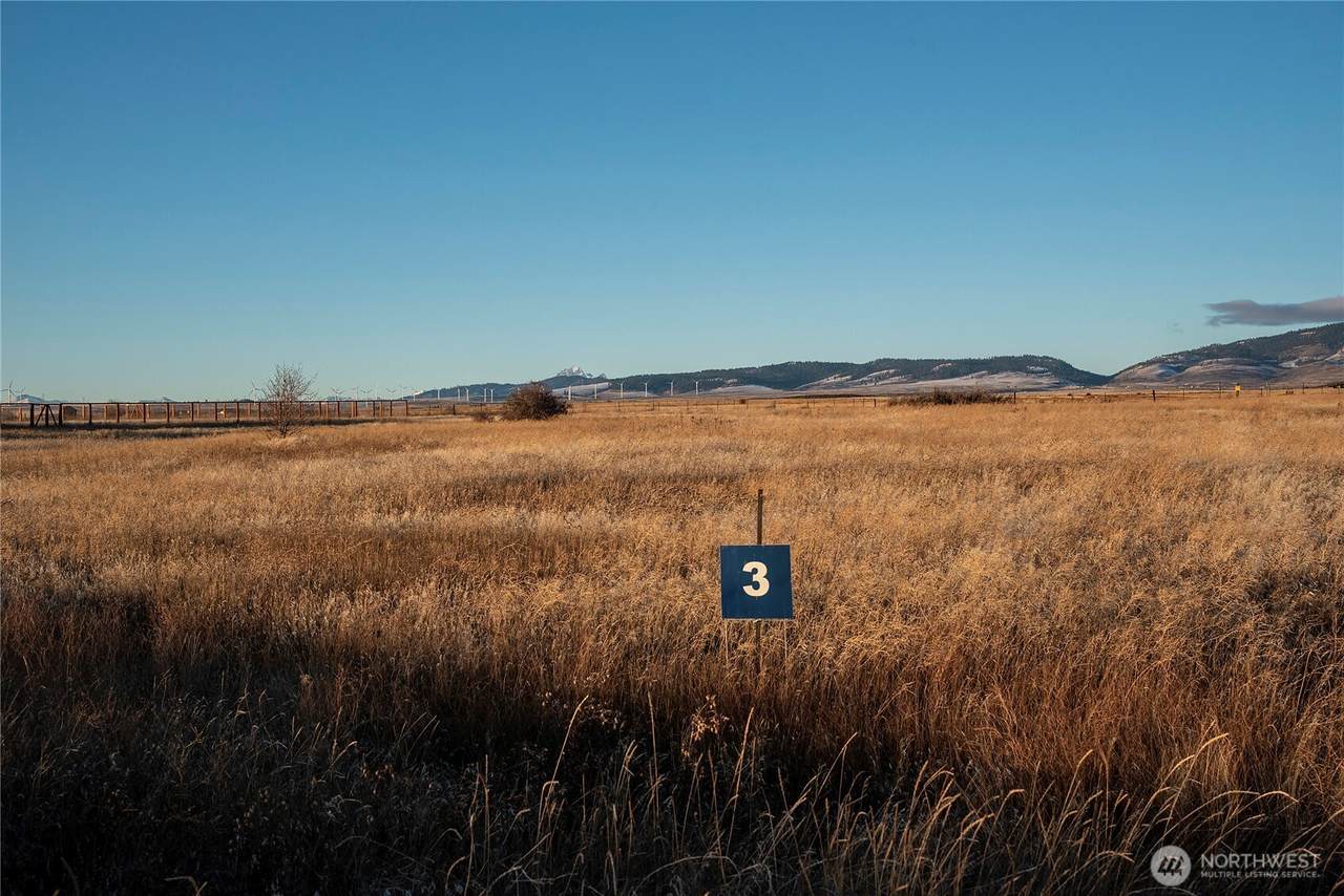 3 Green Canyon Lane - Photo 1