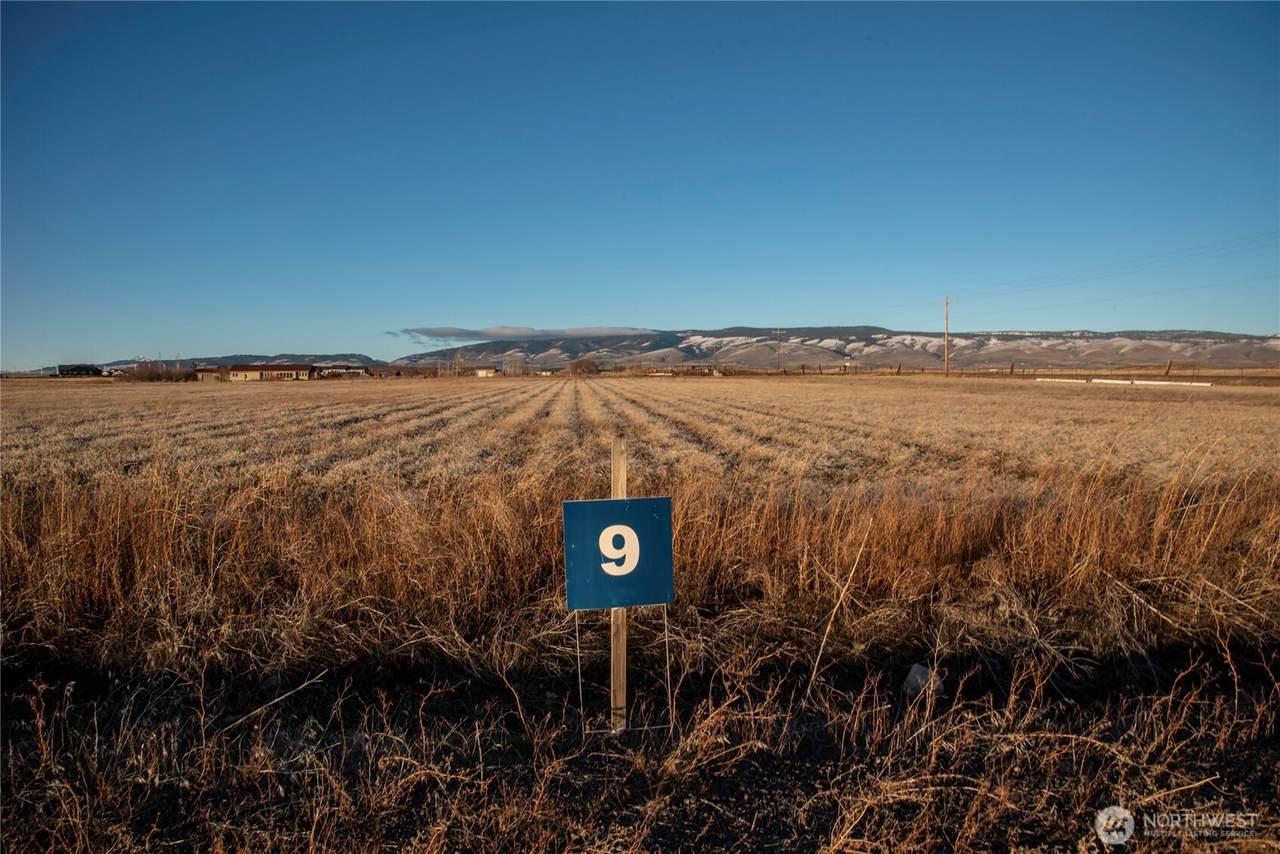 9 Green Canyon Lane - Photo 1