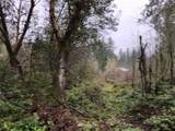 58 xx Werner Road - Photo 3