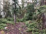 58 xx Werner Road - Photo 4