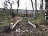 0 XXX Snow Creek Way - Photo 8