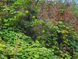 0 TBD Panorama Point - Photo 15