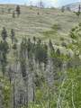 0 960X Knox Road - Photo 12