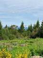 1 Lone Fir Dr Road - Photo 1