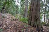 5900 xxx Reynolds Road - Photo 18