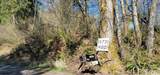 14731 High Bridge Road - Photo 1