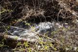 209 Hunter Mountain Road - Photo 2