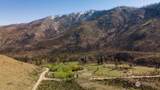209 Hunter Mountain Road - Photo 16