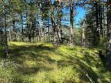 0 X Orcas Road - Photo 3