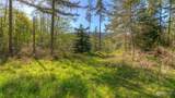 0 X Orcas Road - Photo 4