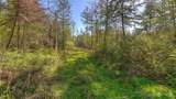0 X Orcas Road - Photo 5