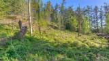 0 X Orcas Road - Photo 7