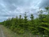 0 George Taylor Road - Photo 13