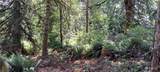 0 Loop Lot 1 Road - Photo 2