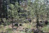 0 Lot 3 Badger Sontag Ridge - Photo 11