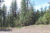 0 Lot 3 Badger Sontag Ridge - Photo 13