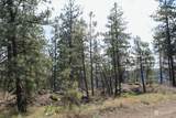 0 Lot 3 Badger Sontag Ridge - Photo 14