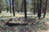 0 Lot 3 Badger Sontag Ridge - Photo 5
