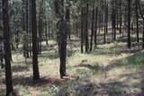 0 Lot 3 Badger Sontag Ridge - Photo 6